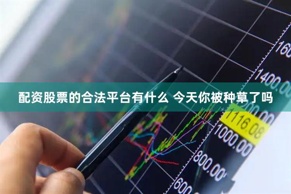 配资股票的合法平台有什么 今天你被种草了吗